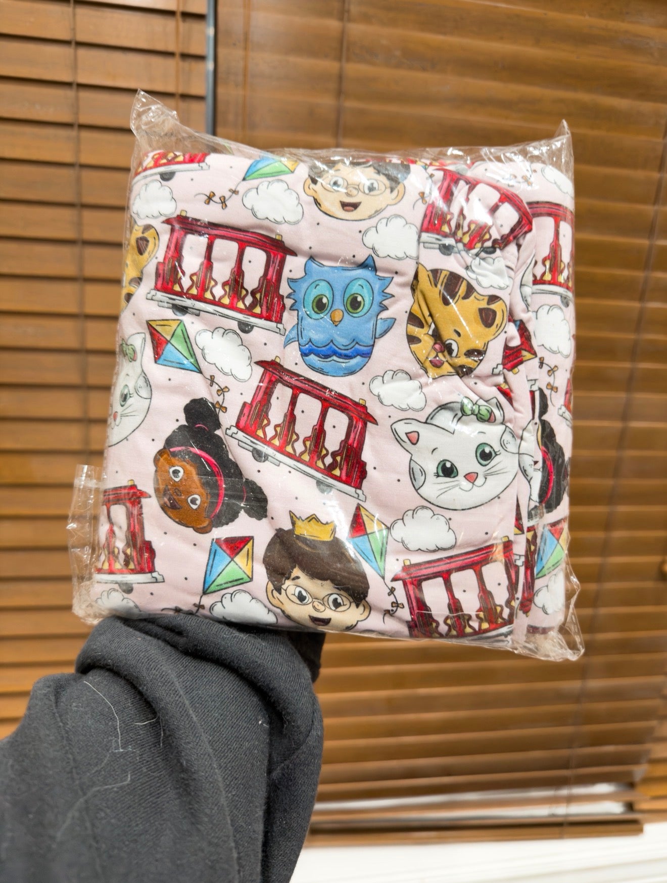 50x50 DANIEL TIGER BAMBOO BLANKET