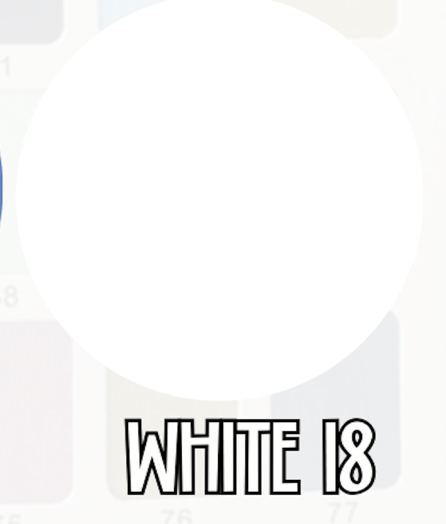 WHITE RIBBED KIDS | SOLIDS PREORDER