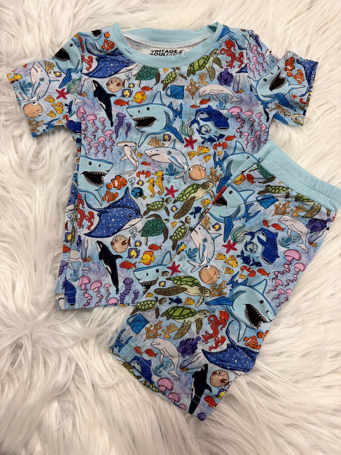 RTS FISH SET